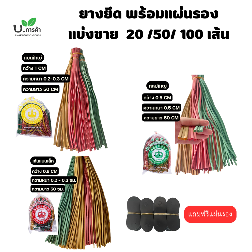 ยางหนังสติ๊ก ยางยิงนก คละสี บรรจุ ( จำนวน 20 /50 / 100 เส้น ) แถมฟรีหนังรอง