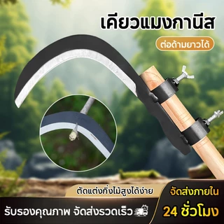 มีดขอ เคียว เกี่ยว เก็บผลไม้ บนที่สูง ไม่ต้องปีนป่าย ให้เสี่ยงอันตราย เหล็กแมงกานีสขนาดใหญ่ หนา คม แข็งแรงทนทาน