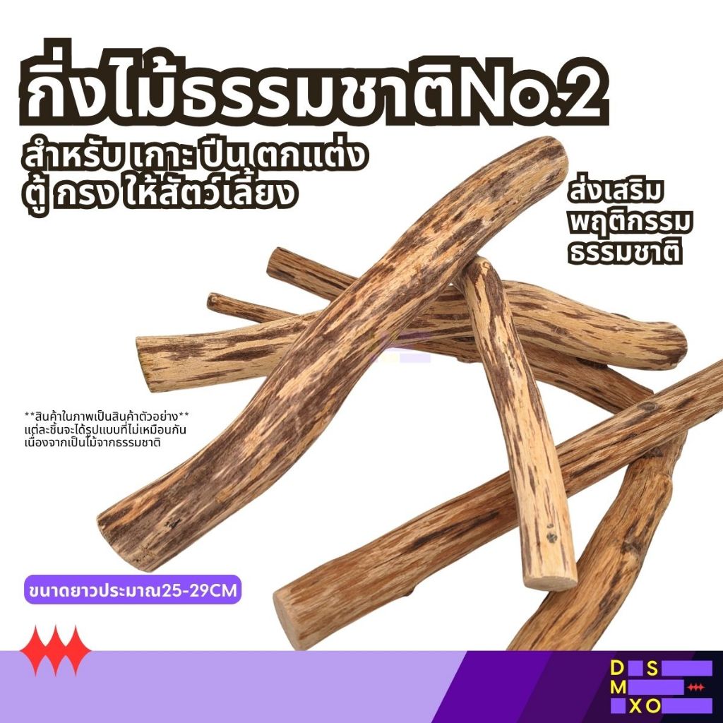 [ส่งด่วน] กิ่งไม้ธรรมชาติ NO.2 สำหรับเกาะ ปีน ตกแต่ง ตู้ กรงสัตว์เลี้ยง (เลือกแบบแจ้งทักแชท)