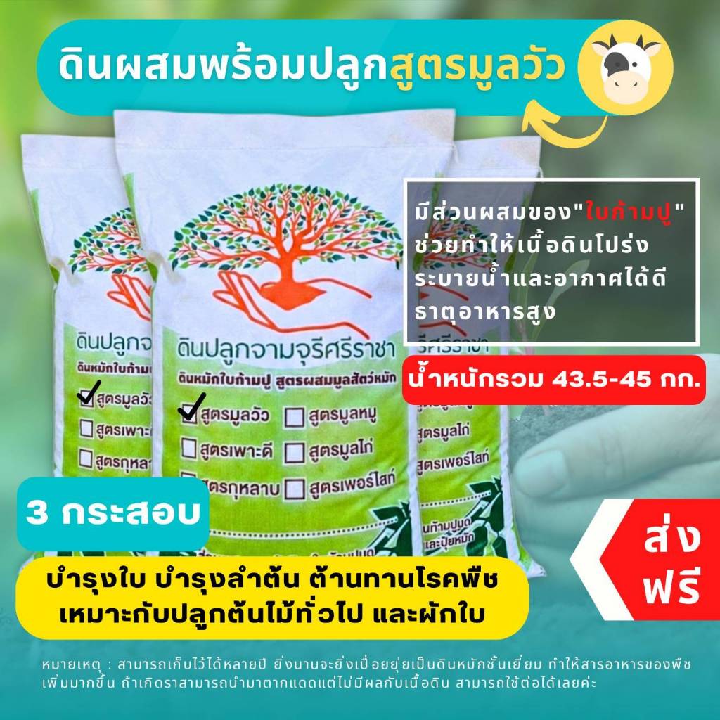 (ส่งฟรี)ดินผสมใบก้ามปูสูตรขี้วัวบด 3 กระสอบ (14.5-15 kg./กระสอบ) จัดส่ง 5-7 วันทำการค่ะ