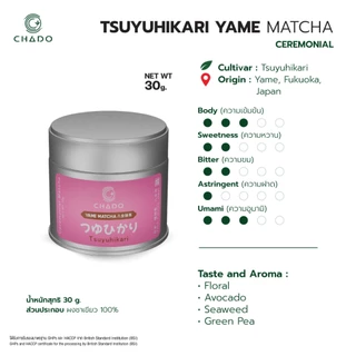 YAME MATCHA TSUYUHIKARI CEREMONIAL มัทฉะ เมืองยาเมะ