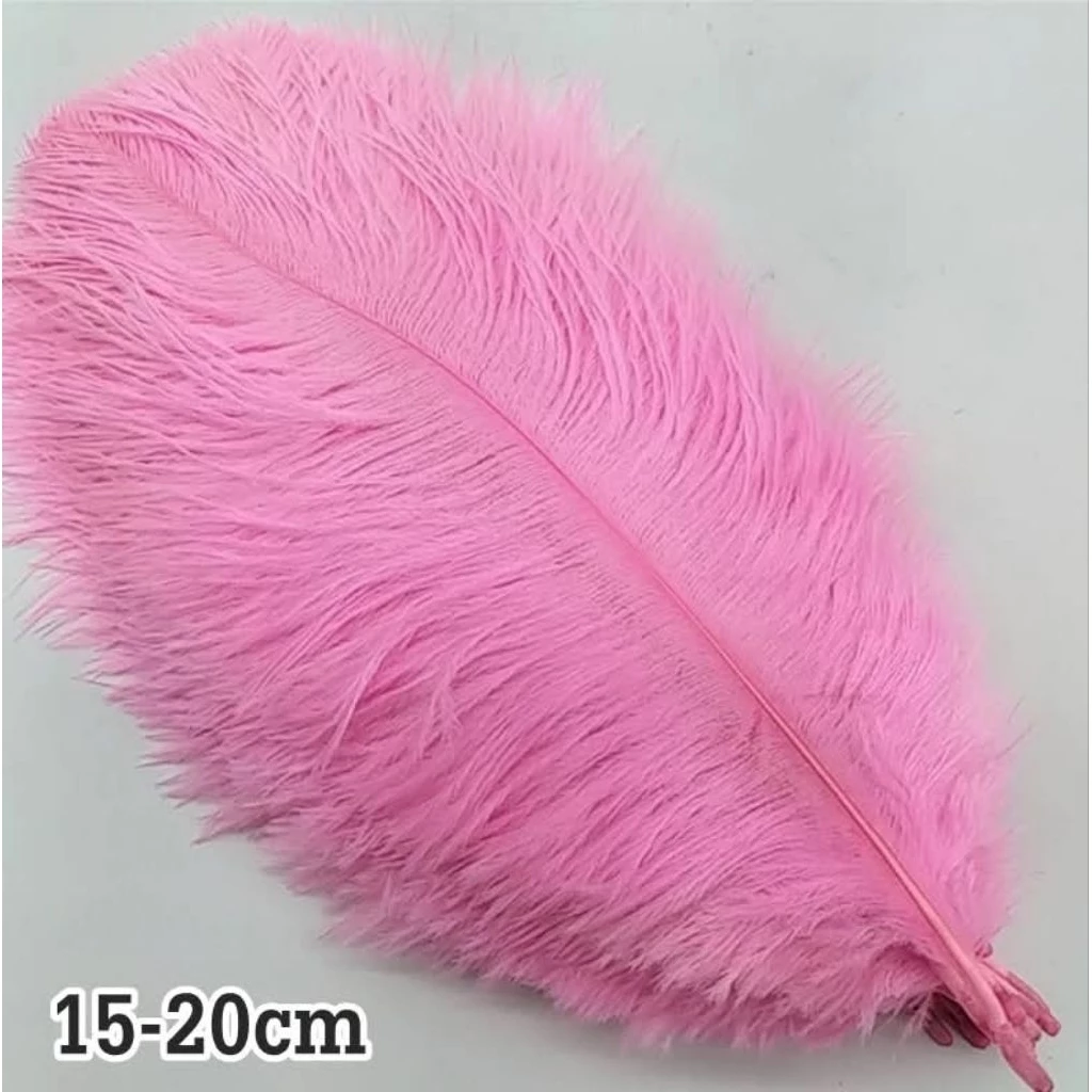 ขนนกกระจอกเทศธรรมชาติย้อมสี ความสูง 15-20cm แบ่งขายแพ็คละ 10 เส้น