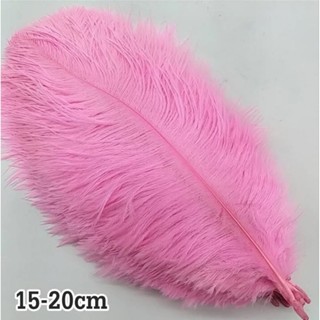 ขนนกกระจอกเทศธรรมชาติย้อมสี ความสูง 15-20cm แบ่งขายแพ็คละ 10…