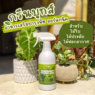 อาหารเสริมบำรุงพืช Green Boost บำรุงไม้ใบ ไม้ฟอกอากาศ ไม้มงค…