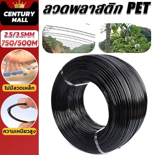CENTURY. 2.5/3.0mm (750/500m) ลวดพลาสติก PET งานเกษตร ลวดเคือบพลาสติก ลวดดัดบอนไซ ลวดมัดต้นไม้ กันสนิม ลวดค้างผัก