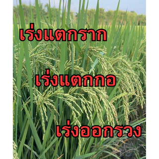แบล็คไบโอพลัส อาหารเสริมพรีเมียม เข้มX10 พืชโตไว แข็งแรง ผลผลิตงาม