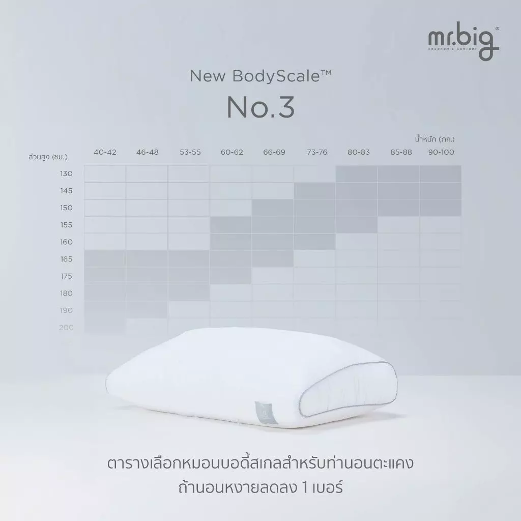 mr.big BodyScale Pillow หมอนหนุน Ergonomic เลือกตามน้ำหนัก/ส่วนสูง/ท่านอน ออกแบบโดยนักกายภาพบำบัดโดยข้อมูลจากสรีระคนไทย thumbnail 6