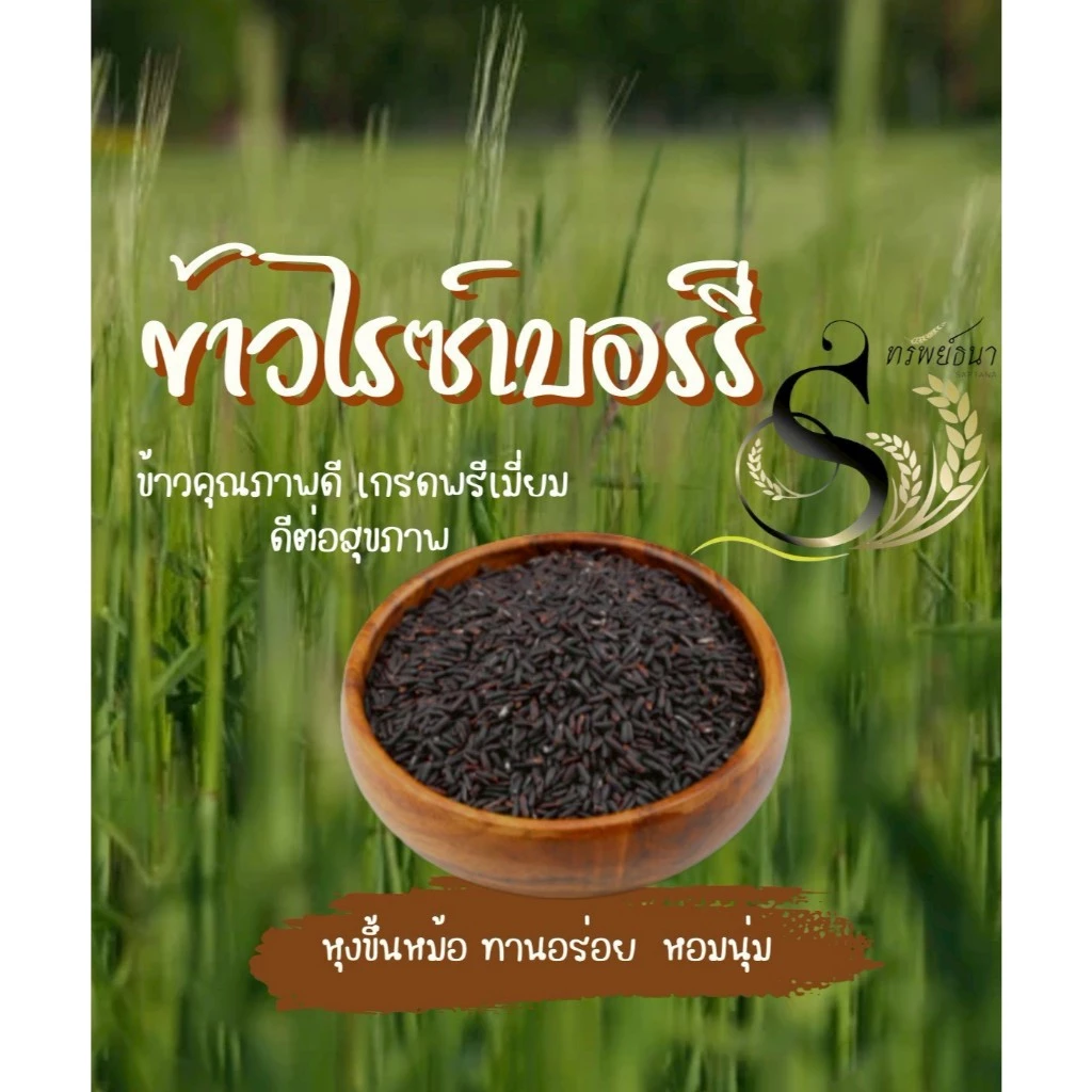 ข้าวไรซ์เบอรี่ ข้าวดำเอ กระสอบ 5 กิโลกรัม ข้าวใหม่ ข้าวถูกอร่อย