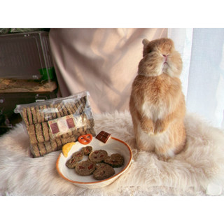 Prince of Bunny คุ้กกี้หญ้าทิโมธีสำหรับกระต่าย Homemade