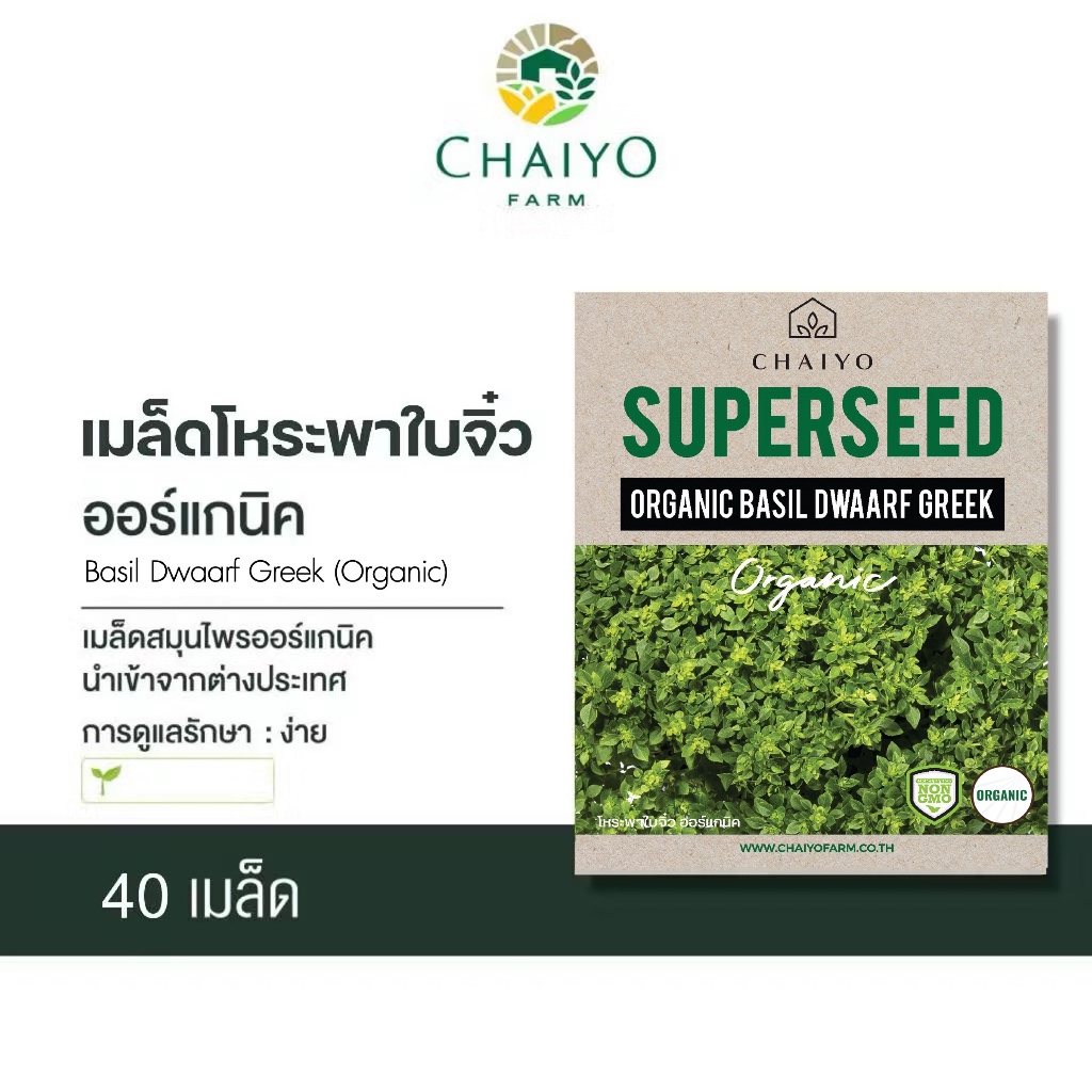 เมล็ด Basil Dwarf Greek (Organic) เบซิล ดวอร์ฟ กรีก ออร์แกนิค