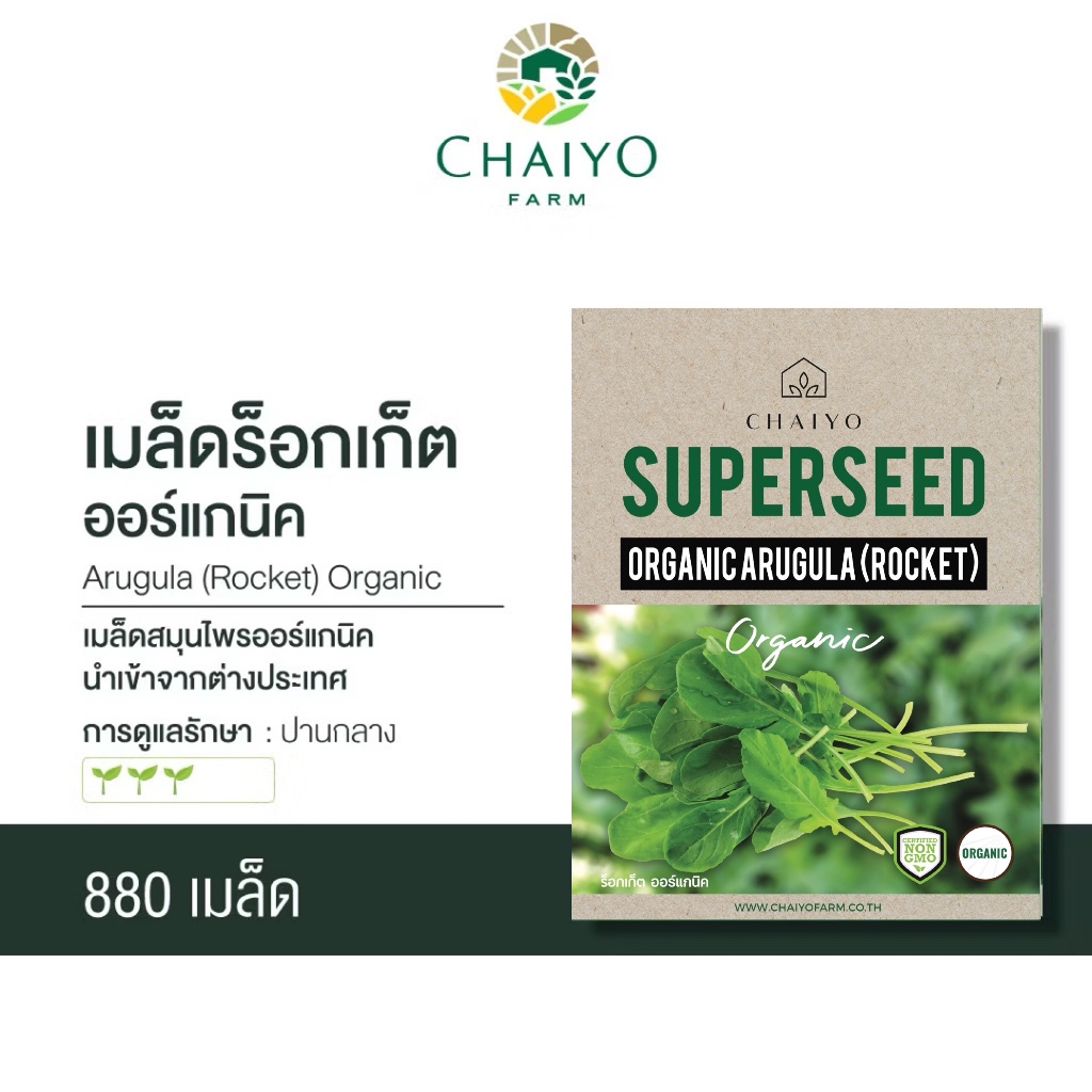เมล็ด ARUGULA (Roquette) Organic  ร็อกเก็ต ออร์แกนิค