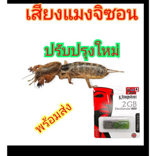 เสียงแมงจิซอนบันทึกเสียงในแฟลชไดร์ฟUSB