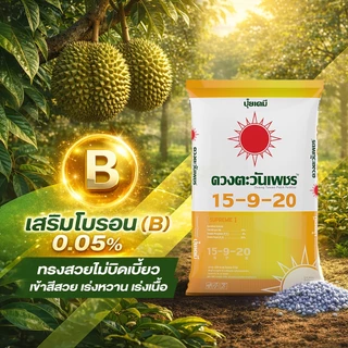 ปุ๋ยคอมปาวด์ 15-9-20 ขนาด 25 กก. ผสม Biostimulant Zn, B จากธรรมชาติ บำรุงผล เร่งขนาดน้ำหนักของผล