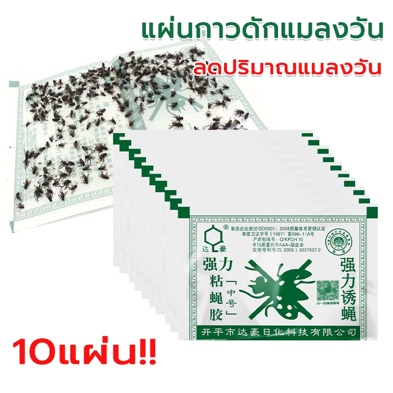 แผ่นกาวดักแมลงวัน มัดละ 10แผ่น ใช้งานง่าย รุ่นกระดาษ กาวดักแมลงวัน กำจัดแมลงวัน