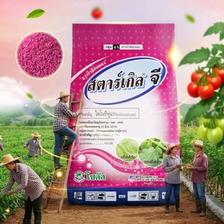 สตาร์เกิลจี (Starkle G) สตาเกิลจี สตาร์เกิล จี สตาเกิล จี สารกำจัดแมลงชนิดดูดซึมเข้าทางระบบราก 1กิโลกรัม