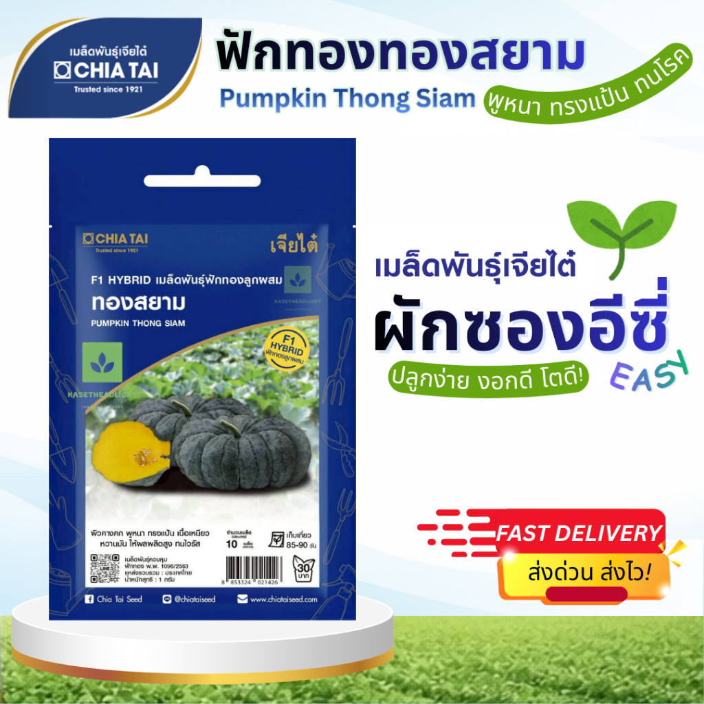 Easy เมล็ดพันธุ์ฟักทอง ทองสยาม 10เมล็ด เจียไต๋ Pumpkin Thong Siam