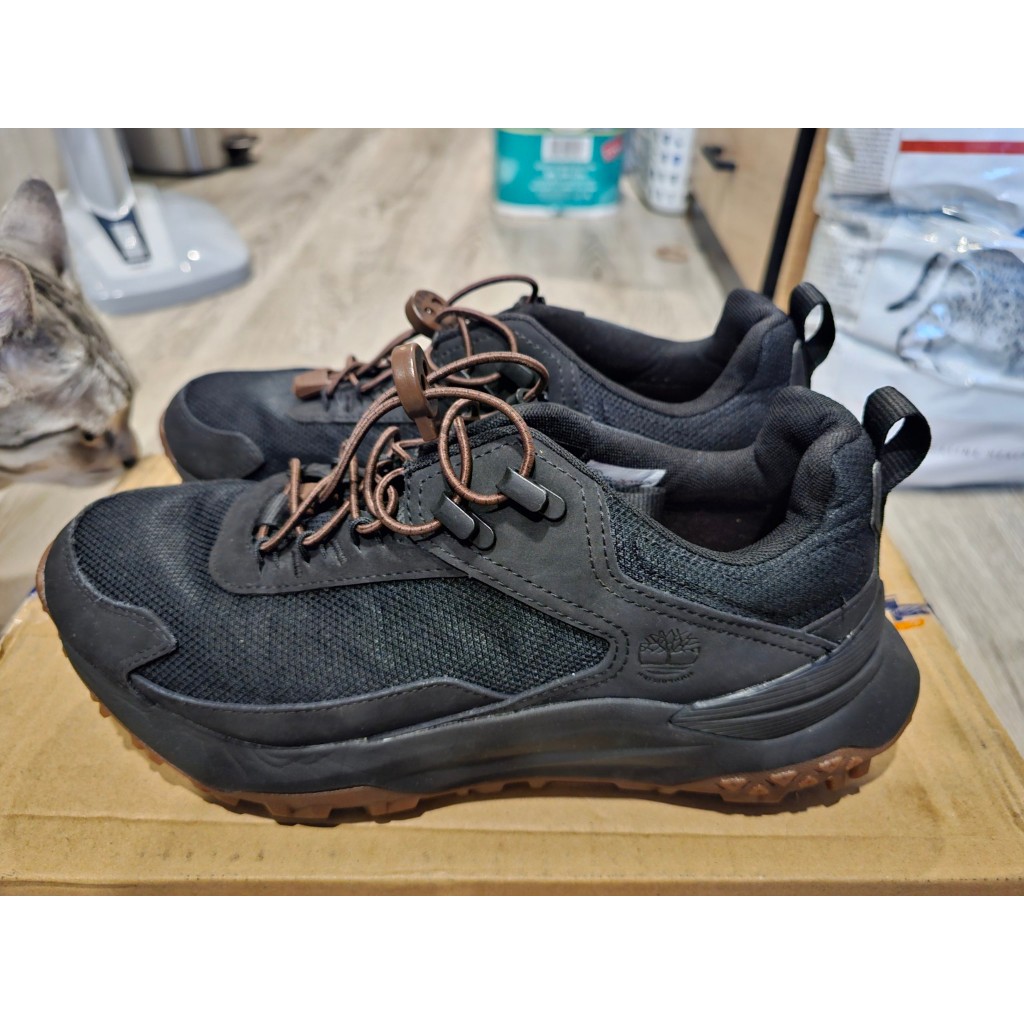 Timberland Motion Access Low Waterproof (Black) 9US
