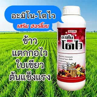 อะมิโนแอซิดสูตรเข้มข้น+ฮอร์โมน อะมิโนพืช ขนาด 500 ซีซี /1 ลิตร เร่งโต ฟื้นต้นโทรม แตกยอดไว ใบเขียว บำรุงราก ทุเรียน ข้าว