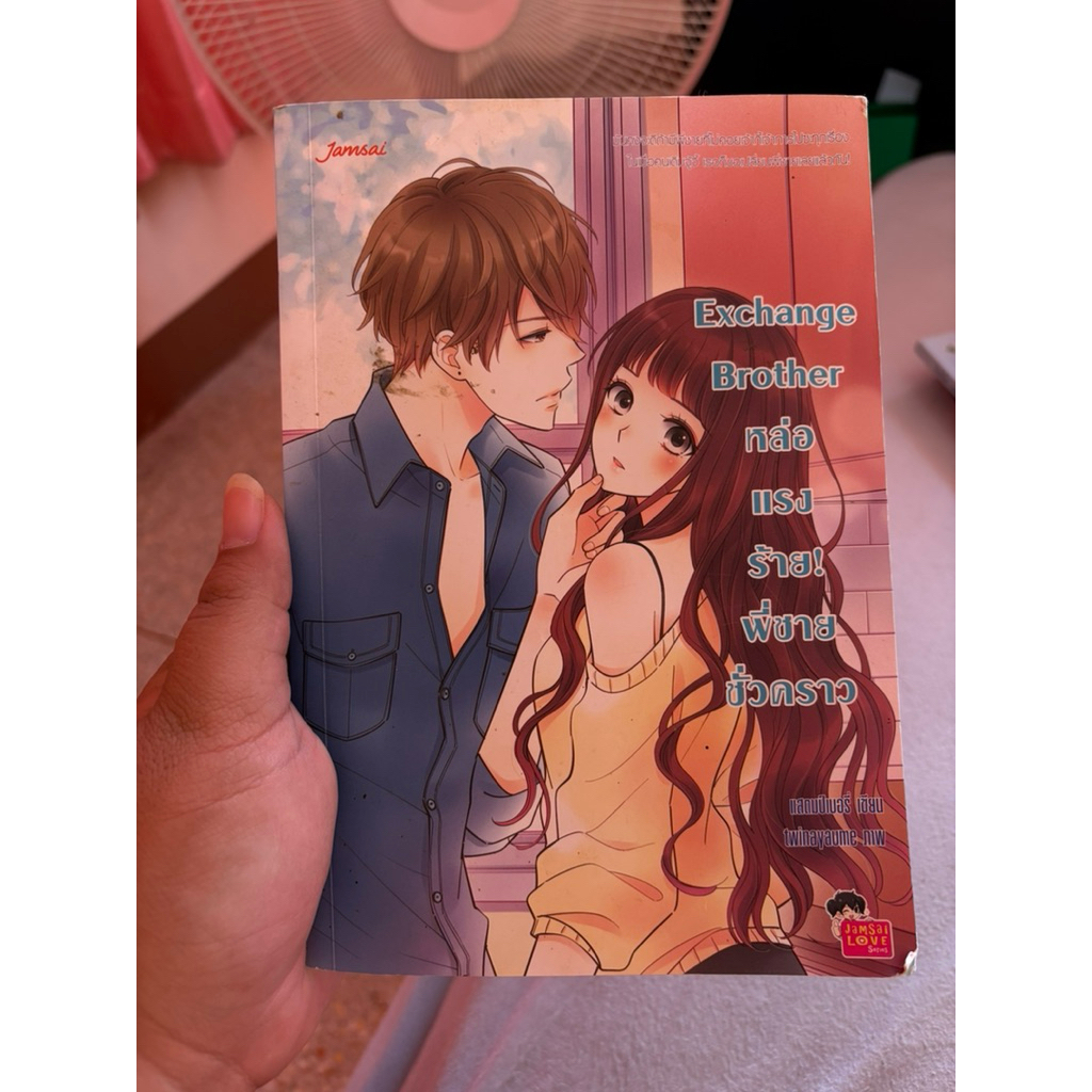 นิยายแจ่มใสมือ2 เรื่อง Exchange Brother หล่อแรงร้าย! พี่ชายชั่วคราว มีตำหนิเยอะ สภาพ60%