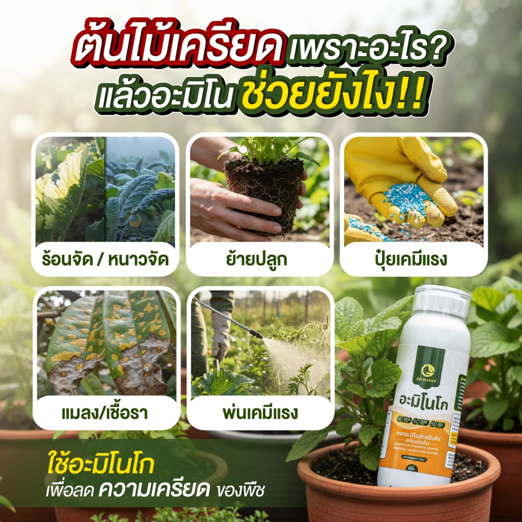 [1ขวด] อะมิโนโก(ขวดเล็ก) 500 ML - AMINO GO กรดอะมิโนสำคัญต่อพืช 19 ชนิด ปุ๋ยน้ำ ปุ๋ยกุหลาบ เร่งราก รูปที่ 6