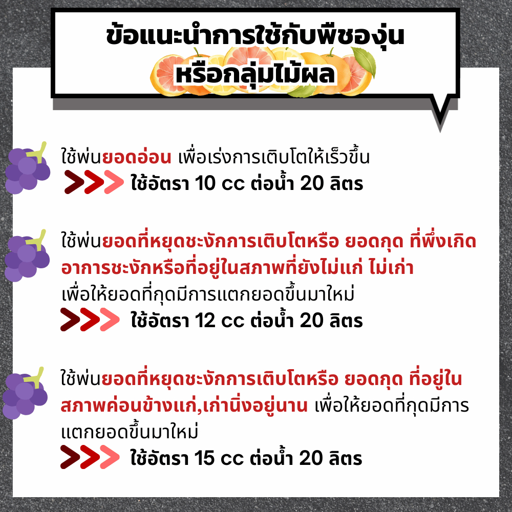 PGS1 น้ำยาสร้างยอด เร่งการเติบโต – ชนิดผสมน้ำพ่น ราคา ถูกที่สุด ดีลบีเคเค แกลเลอรีภาพที่ 6