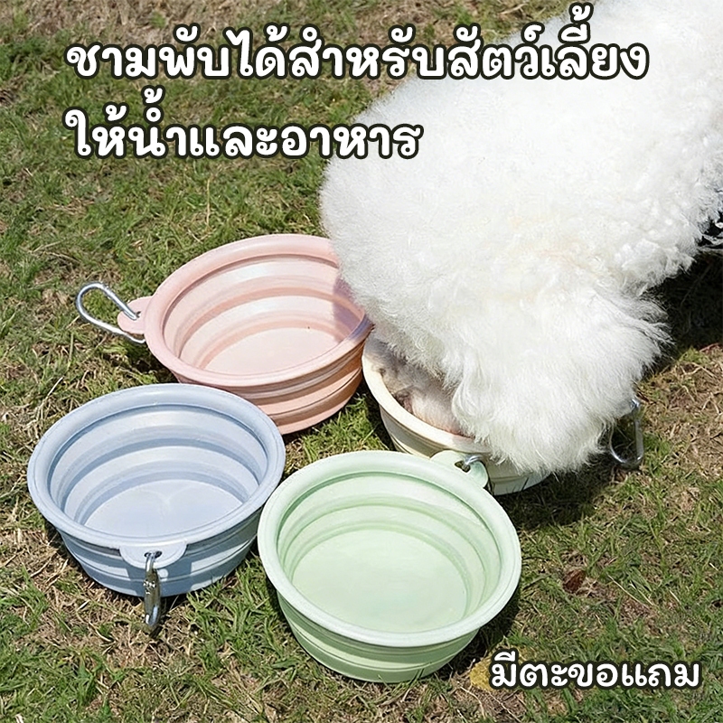 ชาม ซิลิโคนพับได้ชามอาหารสุนัข แบบพกพาจานชามน้ำชามพับได้ ชามสัตว์เลี้ยงพกพา