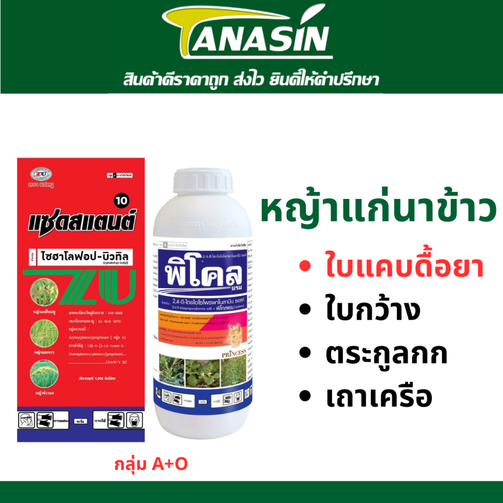 ชุดเก็บหญ้าแก่นาข้าว พิโคล + แซดสแตนต์ ไซฮาโลฟอป+(2,4-ดี + พิโคลแรม) ใบแคบ ใบกว้าง กก เถาวัลย์ เครือ ผักบุ้ง