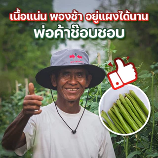 ถั่วฝักยาว เขียวดกพลัส 500 กรัม ศรแดง