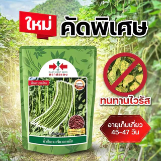 ถั่วฝักยาว เขียวดกพลัส 500 กรัม ศรแดง