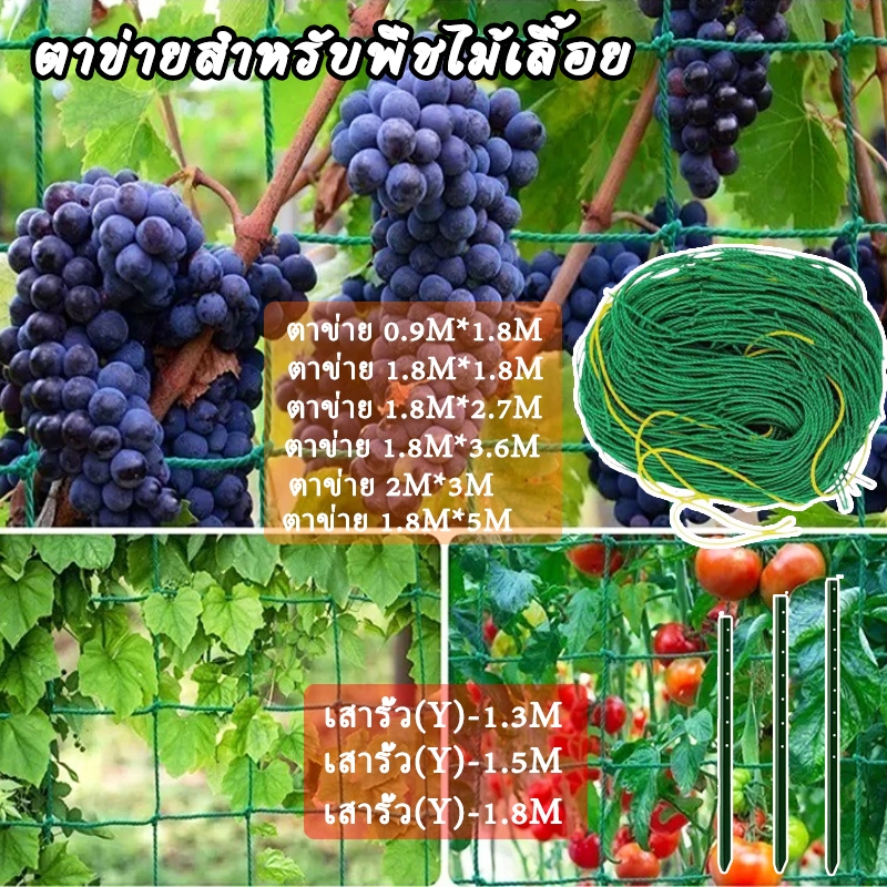 ตาข่ายสำหรับพืชไม้เลื้อย ปลูกผัก ตาข่ายปลูกผัก ตาข่ายแตงกวา ตาข่ายไม้เลื้อย ทนทาน ส่งจากประเทศไทย – โปรปัง