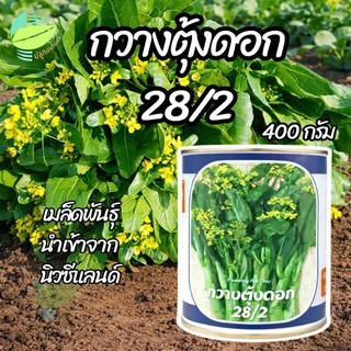 เมล็ดพันธุ์ กวางตุ้งดอก 28/2 ตราลูกโลก ( 400 กรัม )
