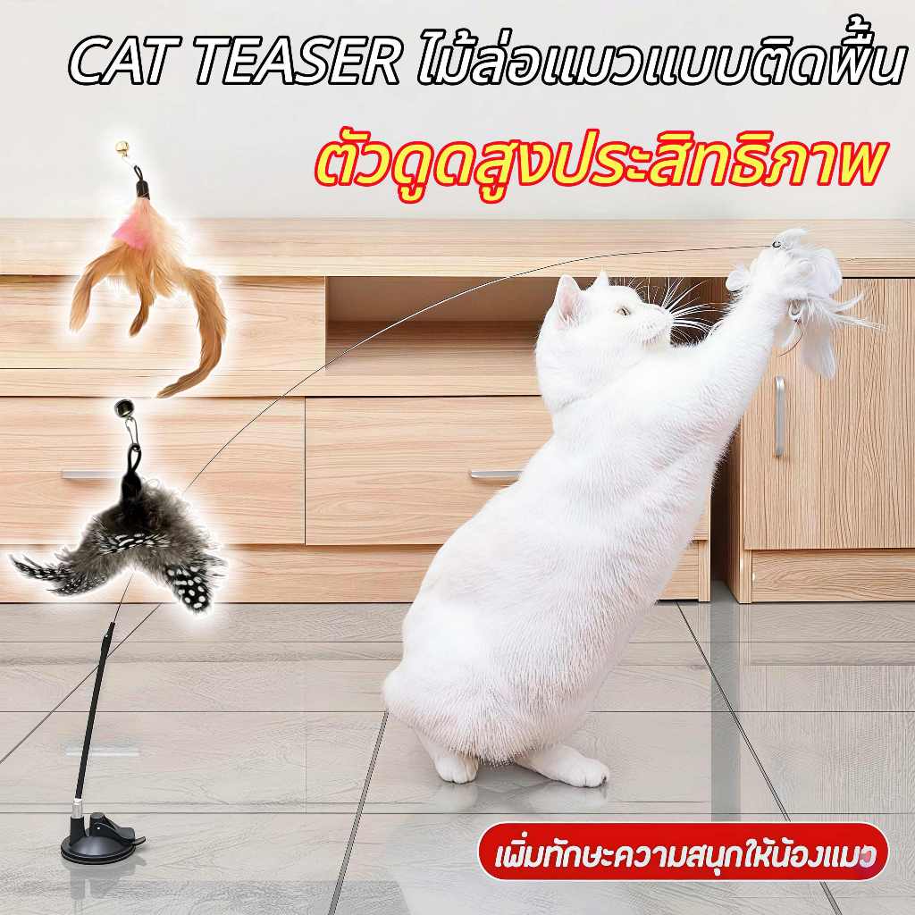 พร้อมส่ง COD ของเล่นแมว ไม้ตกแมว ไม้ล่อแมว ฐานดูดติดพื้น ติดกระจก ขนนก มีกระดิ่ง ไม้สปริง ของเล่นแมวแก้เบื่อ อุปกรณ์แมว