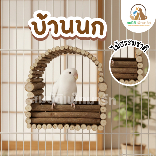 บ้านนก ไม้ธรรมชาติ บ้านพักนก บ้านนอนนก บ้านนกกรง คอนนก ที่หลบซ่อนนก ของเล่นนก Budgie Lovebird Parrot Cage Toy