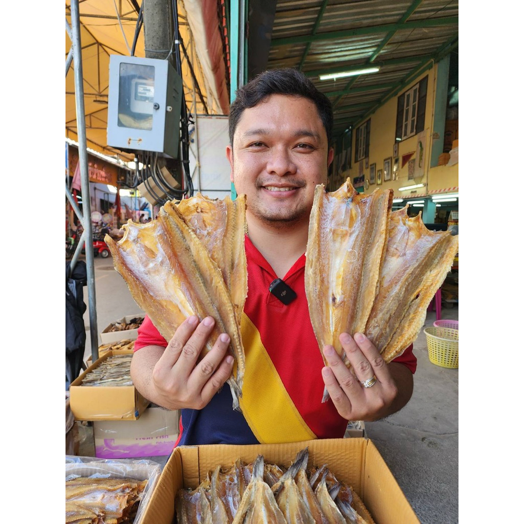 ปลาช่อนทะเลใหญ่ยักษ์ขนาด500กรัม