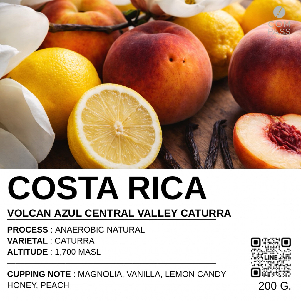 เมล็ดกาแฟ Costa Rica คั่วกลาง ขนาด 200 g.