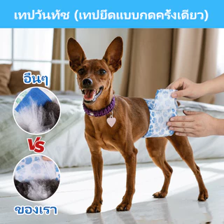 Dono'S Diary ผ้าอ้อมอนามัยสุนัขเพศผู้ กันลื่น สูตรซึมซับไว 360 ป้องกันรั่ว ซอง 10 ชิ้น XS/S/M/L