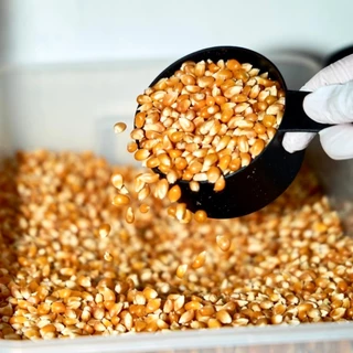 [3แพค270บาท] POPPA Craft Popcorn