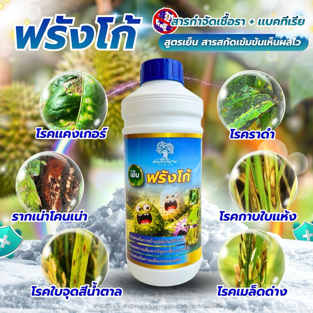 ฟรังโก้ สูตรเย็นสารกำจัดเเละป้องกันเชื้อรา+เเบคทีเรีย ป้องกันโรคเเคงเกอร์ ราดำ รากเน่าโคนเน่า กาบใบเเห้ง จุดสีน้ำตาล