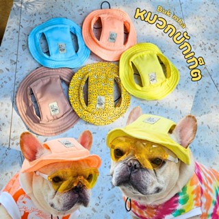 หมวกบักเก็ต สำหรับน้องหมาน้องแมว