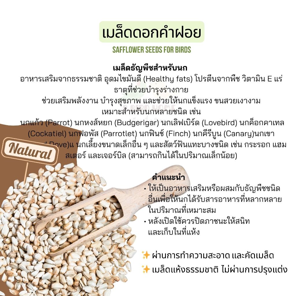 COD อาหารนก เมล็ดดอกคำฝอย (Safflower Seeds)  อาหารเสริมนกเล็ก-ใหญ่ ไขมันดี คัดสะอาด ไม่มีฝุ่น ราคา ถูกที่สุด ดีลบีเคเค แกลเลอรีภาพที่ 3