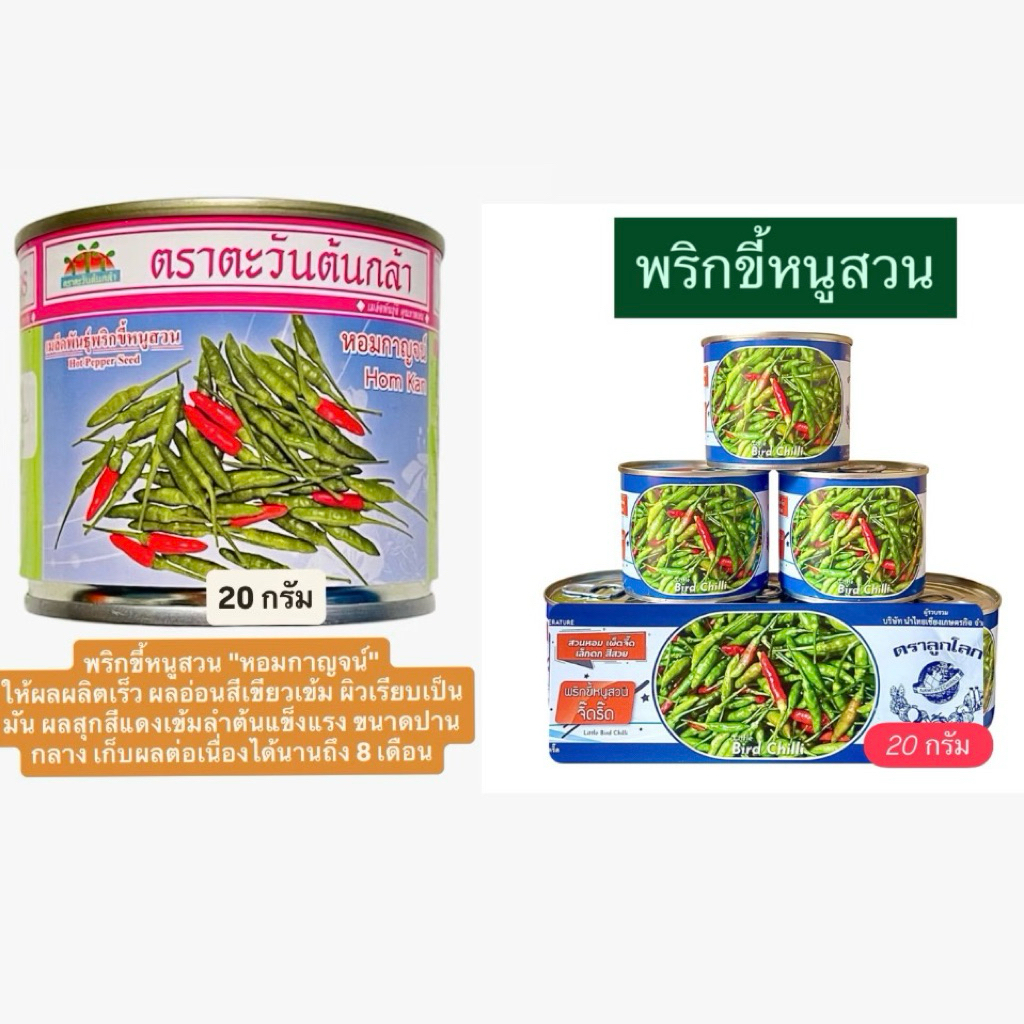 เมล็ด พริกหอม พริกหอมกาญจน์ ,พริกขี้หนูสวน จิ๊ดริ๊ด(20 กรัม ประมาณ 4000 เมล็ด)