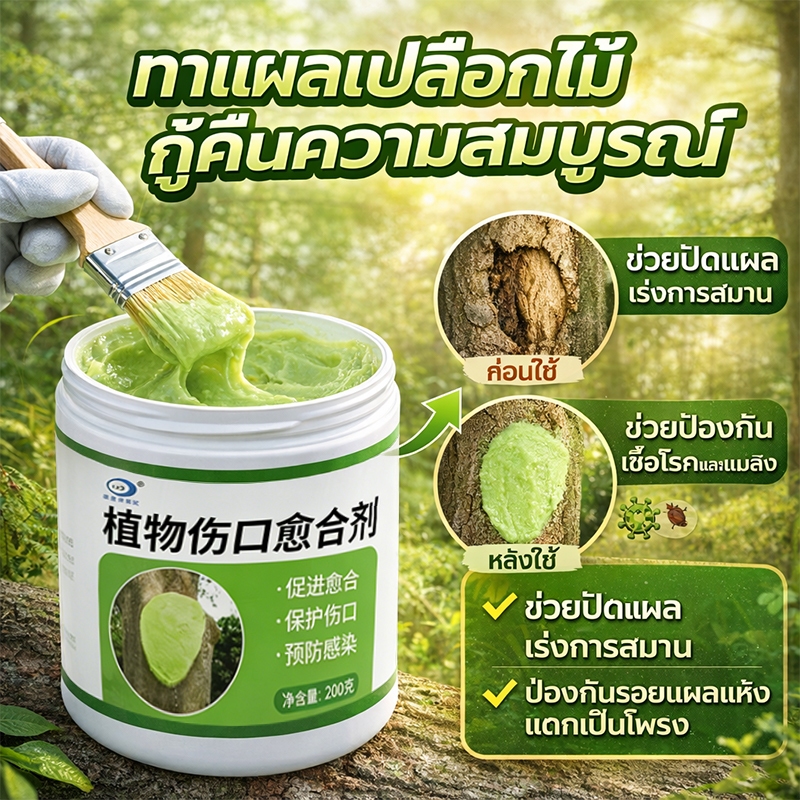 🌲สมานแผลเร็ว🌲ยาทาแผลต้นไม้ ทาแผลต้นไม้ ยาทาแผลต้นไม้ป้องกันเชื้อรา เคลือบปกป้องแผล ใช้ได้หลายพืช