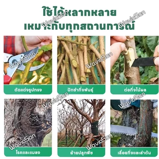 🌲สมานแผลเร็ว🌲ยาทาแผลต้นไม้ ทาแผลต้นไม้ ยาทาแผลต้นไม้ป้องกันเชื้อรา เคลือบปกป้องแผล ใช้ได้หลายพืช