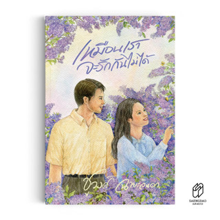 Saengdao(แสงดาว) หนังสือ นวนิยาย เหมือนเราจะรักกันไม่ได้ มือ…