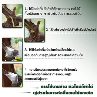 เทปพันกิ่งไม้ เทปยืดพันกิ่ง ฟิล์มพันของ ยาว 200 เมตร ฟิล์มใส เทปยืด ยืดได้อีกเท่าตัว สำหรับตอนกิ่ง ติดตา อุปกรณ์ตอนกิ่ง