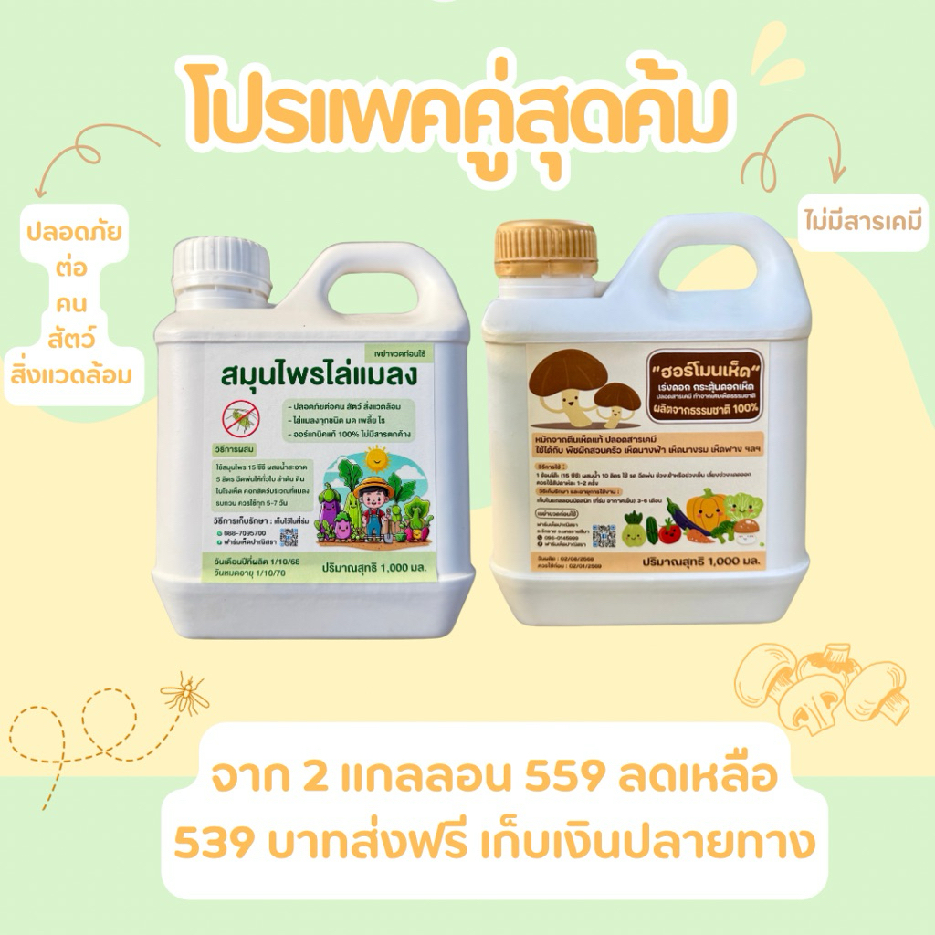 โปรโมชั่นแพ็คคู่สมุนไพร + ฮอร์โมน