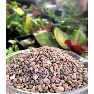 1ลิตร𝓛 เต็ม! หินภูเขาไฟ(Pumice Stone 1 Litr) ผสมดินปลูก เพิ่มความโปร่ง ร่วน เบา มีรูพรุน ช่วยการระบายน้ำ