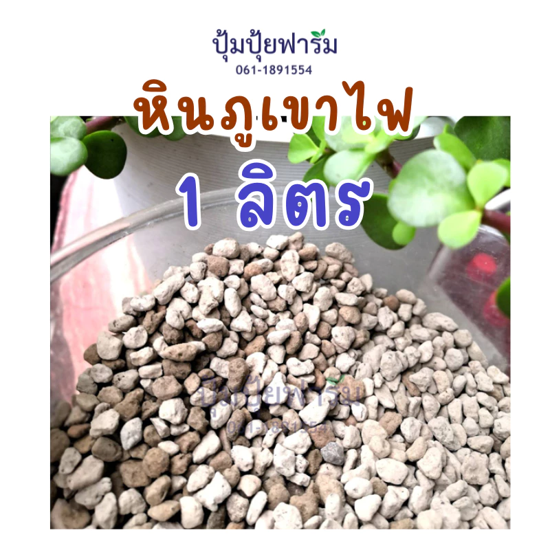 1ลิตร𝓛 เต็ม! หินภูเขาไฟ(Pumice Stone 1 Litr) ผสมดินปลูก เพิ่มความโปร่ง ร่วน เบา มีรูพรุน ช่วยการระบายน้ำ