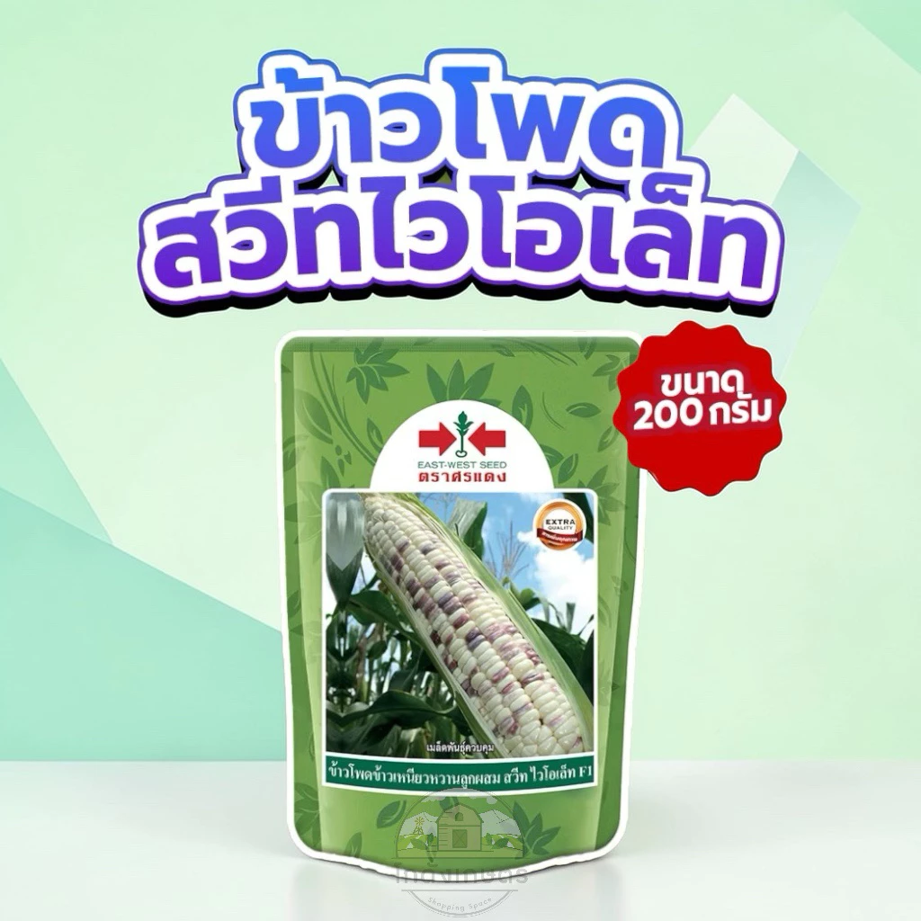 ข้าวโพดข้าวเหนียว สวีทไวโอเล็ท 1,000 เมล็ด ตราศรแดง
