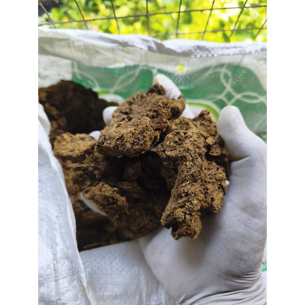 💩🐄🪱✅ขี้วัวนมแท้100%คัดพิเศษเบาๆเหลืองๆ(สำหรับเลี้ยงไส้เดือน)โดยเฉพาะใส่ต้นไม้กระสอบอาหารสัตว์ขนาด30กก.น้ำหนัก7-8กก.